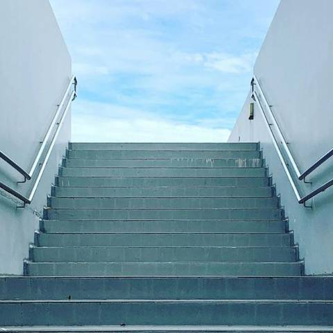 Un año para caminar